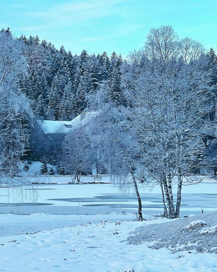 Lakeside Apartments Seefeld ゼーフェルト・イン・チロル エクステリア 写真