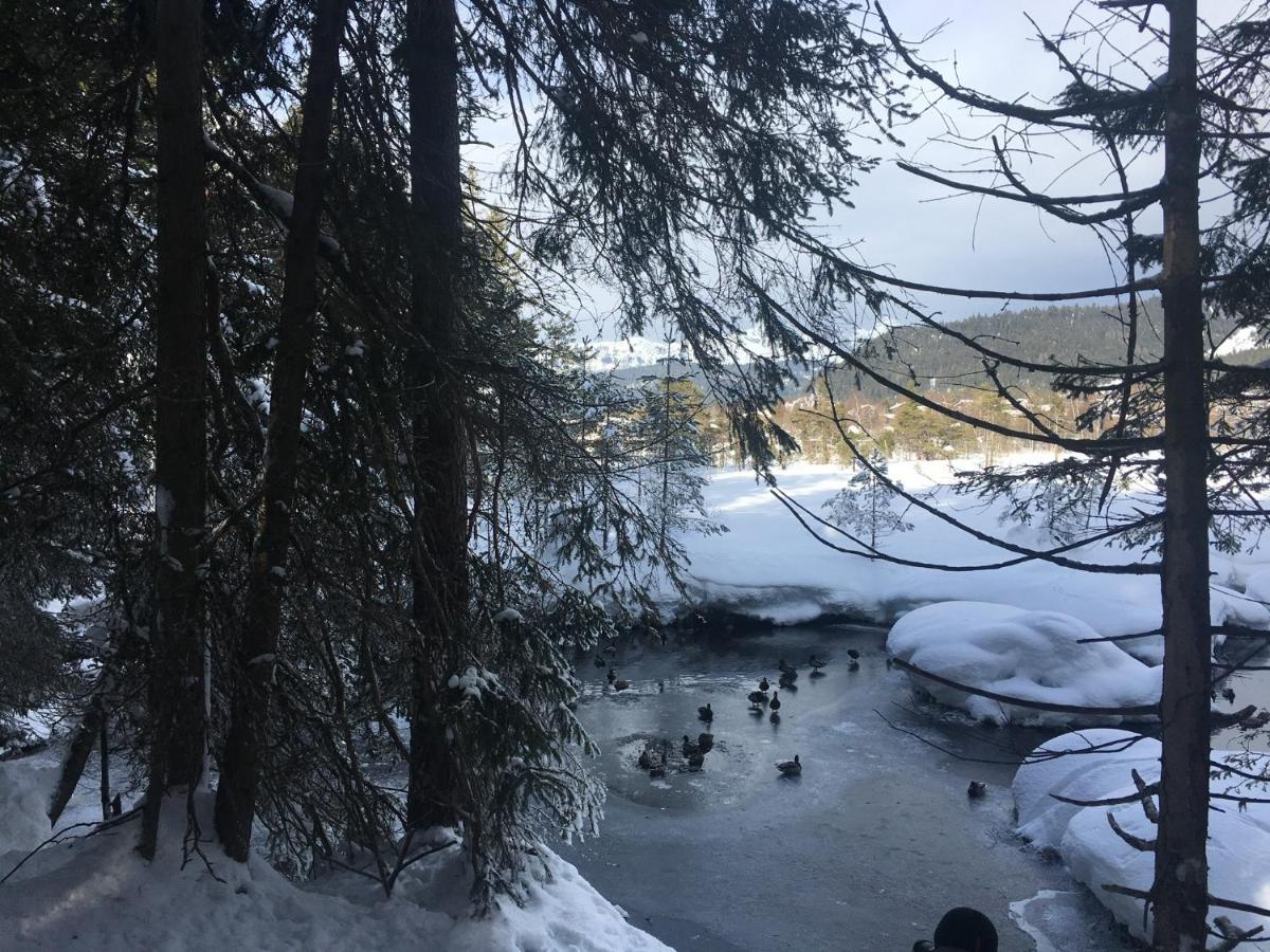 Lakeside Apartments Seefeld ゼーフェルト・イン・チロル エクステリア 写真