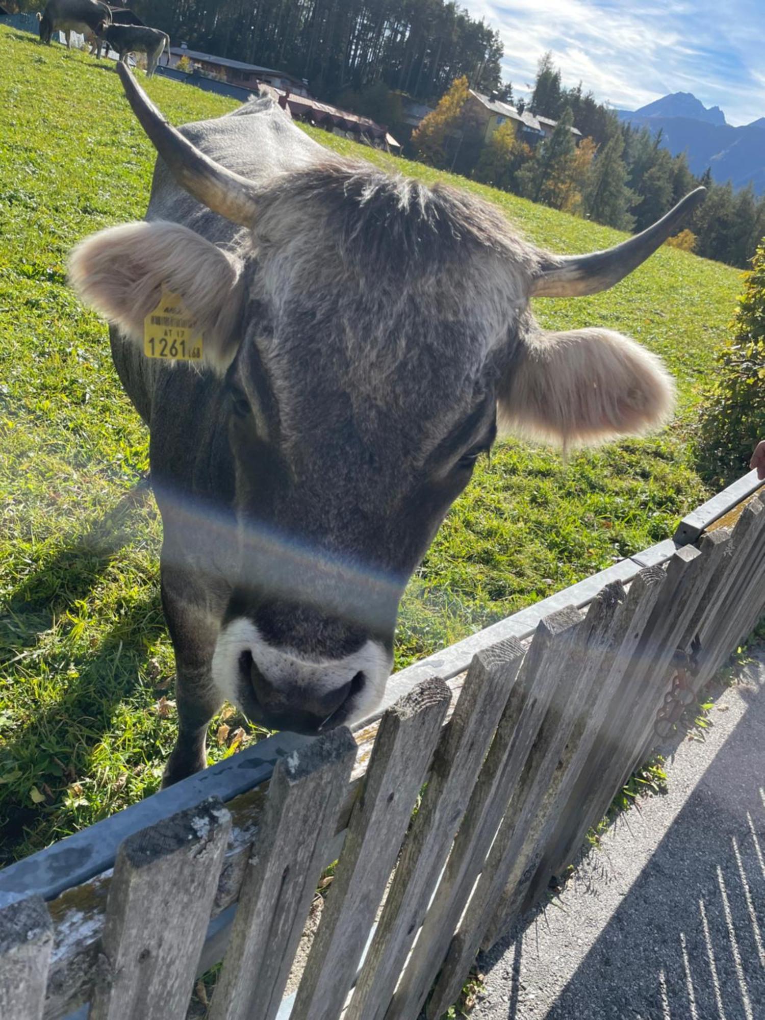 Lakeside Apartments Seefeld ゼーフェルト・イン・チロル エクステリア 写真